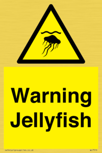 WL7510: Warning jellyfish