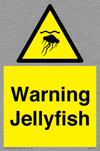 WL7510: Warning jellyfish