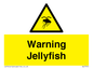 WL7510: Warning jellyfish