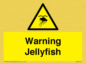 WL7510: Warning jellyfish