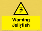 WL7510: Warning jellyfish