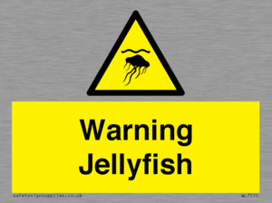 WL7510: Warning jellyfish