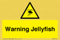 WL7510: Warning jellyfish