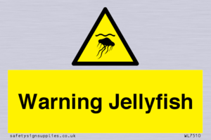 WL7510: Warning jellyfish