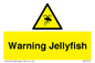 WL7510: Warning jellyfish