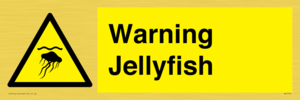 WL7510: Warning jellyfish