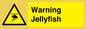 WL7510: Warning jellyfish