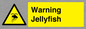 WL7510: Warning jellyfish