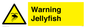 WL7510: Warning jellyfish