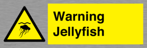WL7510: Warning jellyfish
