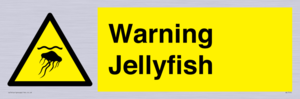 WL7510: Warning jellyfish