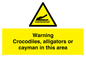 WL7511: Warning crocodiles, alligators or cayman in this area