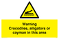 WL7511: Warning crocodiles, alligators or cayman in this area
