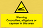 WL7511: Warning crocodiles, alligators or cayman in this area