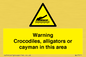 WL7511: Warning crocodiles, alligators or cayman in this area