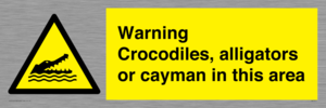 WL7511: Warning crocodiles, alligators or cayman in this area