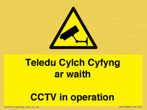 WT10588: Teledu Cylch Cyfyng ar waith CCTV in operation