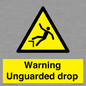 WV10061: Beware Unguarded Drop