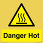 WV10258: Danger Hot
