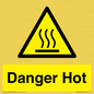 WV10258: Danger Hot