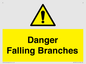 WV10531: Danger Falling Branches