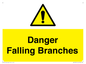 WV10531: Danger Falling Branches