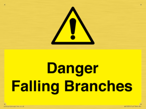 WV10531: Danger Falling Branches