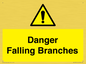 WV10531: Danger Falling Branches