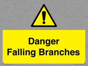 WV10531: Danger Falling Branches