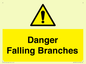 WV10531: Danger Falling Branches