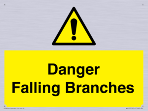 WV10531: Danger Falling Branches
