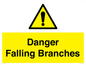 WV10531: Danger Falling Branches