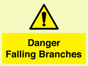 WV10531: Danger Falling Branches