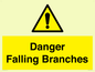 WV10531: Danger Falling Branches