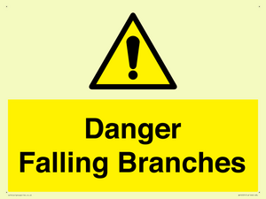 WV10531: Danger Falling Branches