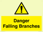 WV10531: Danger Falling Branches