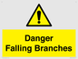 WV10531: Danger Falling Branches