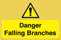WV10531: Danger Falling Branches