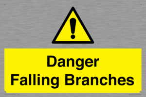 WV10531: Danger Falling Branches