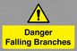 WV10531: Danger Falling Branches