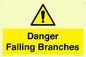 WV10531: Danger Falling Branches