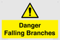 WV10531: Danger Falling Branches