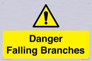 WV10531: Danger Falling Branches