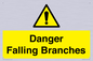 WV10531: Danger Falling Branches