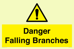 WV10531: Danger Falling Branches