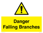 WV10531: Danger Falling Branches