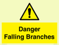 WV10531: Danger Falling Branches