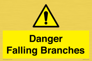 WV10531: Danger Falling Branches