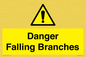 WV10531: Danger Falling Branches