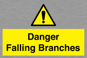 WV10531: Danger Falling Branches